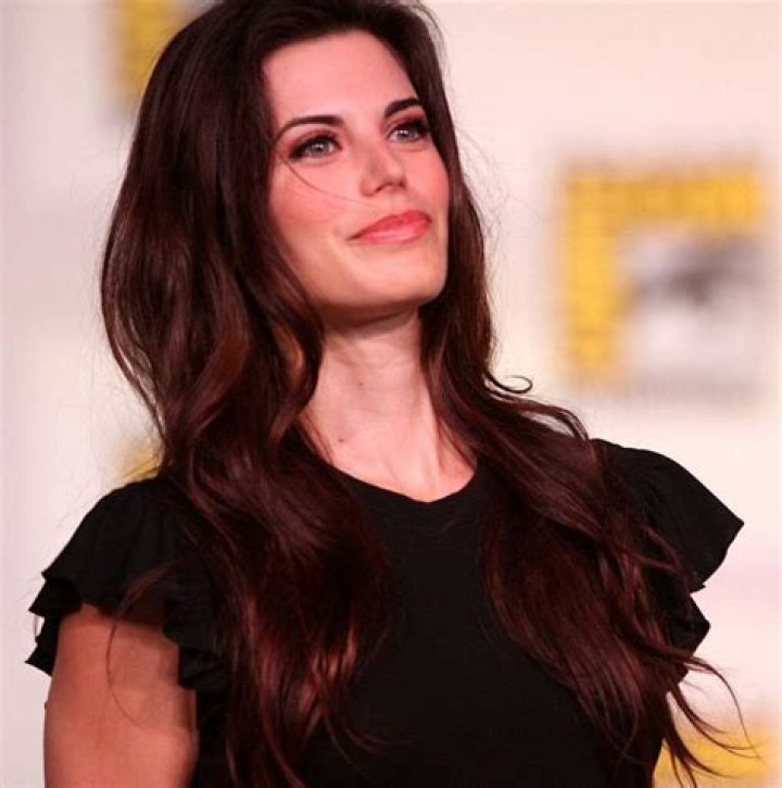 DazeVlog | Meghan Ory Net Worth