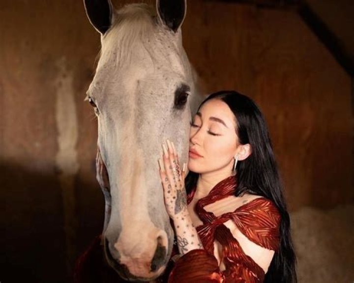 Is Noah Cyrus Transgender? Discoveries And Insights Await