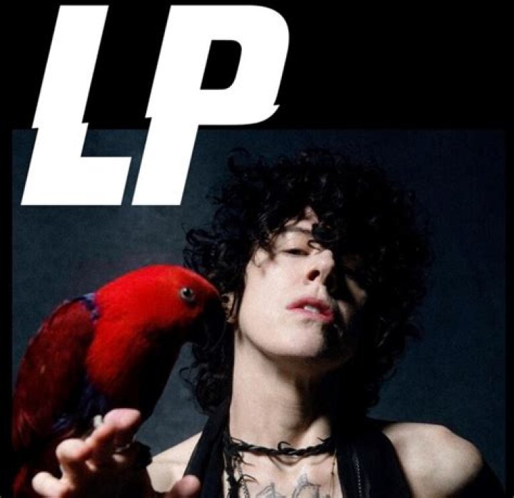 Laura Pergolizzi Transgender What Is Her Gender? Surgery Before And After Pics ·