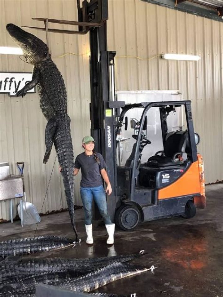 Marc Springer Height, Weight, Net Worth, Age, Birthday, Wikipedia, Who, Nationality, Biography