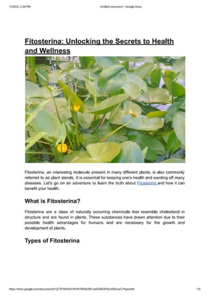 Unlocking The Secrets To Health And Wellness