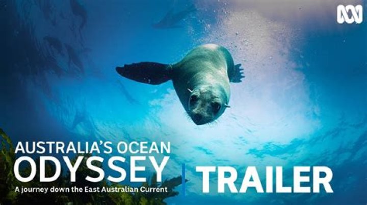 Unveiling Sarah Brady's Ocean Odyssey: Discoveries And Insights